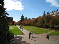 University of Washington Quad and Cherry Trees, Oct 2007